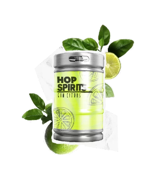 Chopp Hop Spirits – Gin Citrus